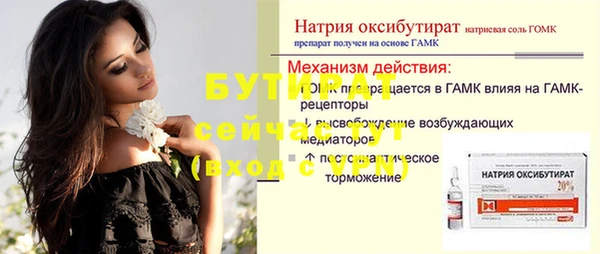 гашик Алексин
