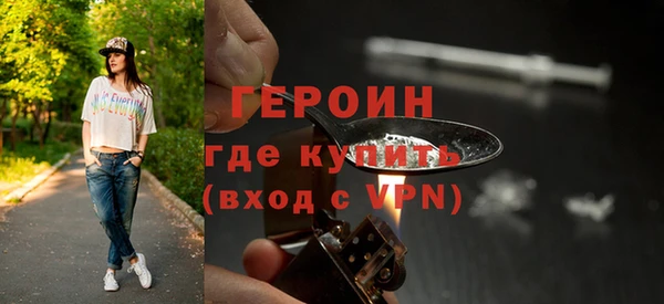 гашик Алексин
