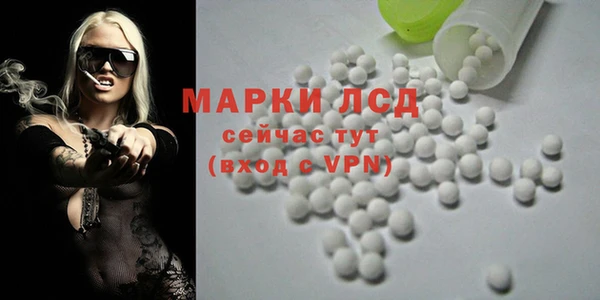 гашик Алексин