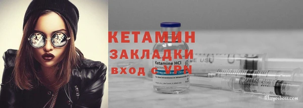 гашик Алексин