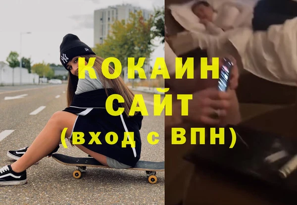 гашик Алексин