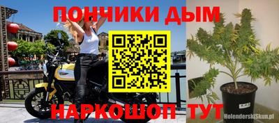 СК Абинск