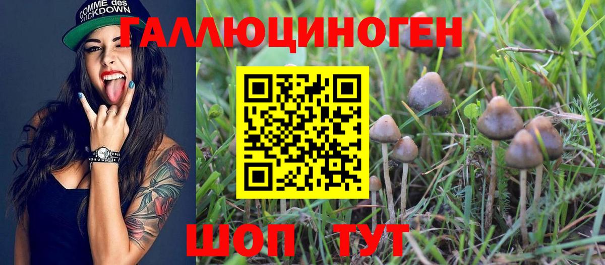 Галлюциногенные грибы Magic Shrooms  купить наркотик  Вход с VPN  Алушта  Галлюциногенные грибы мухоморы 