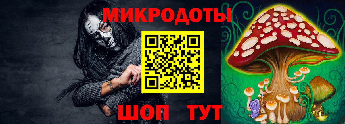 Галлюциногенные грибы Psilocybe Алушта