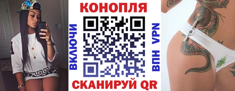 где купить наркоту  Алушта  Шишки марихуана конопля 